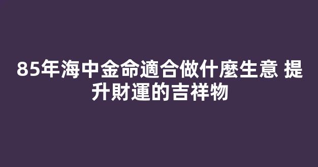 85年海中金命適合做什麼生意 提升財運的吉祥物
